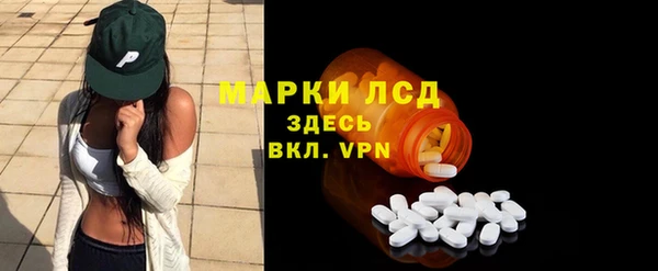 ГАЛЛЮЦИНОГЕННЫЕ ГРИБЫ Заволжье