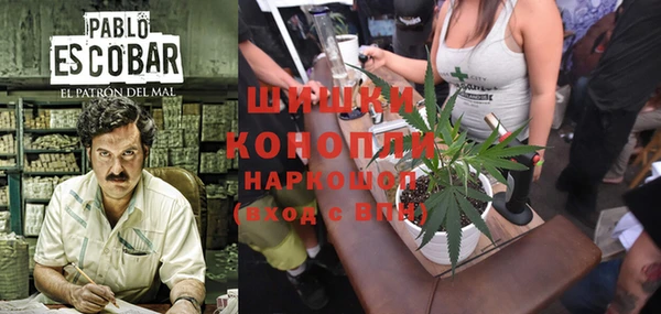 ГАЛЛЮЦИНОГЕННЫЕ ГРИБЫ Заволжье