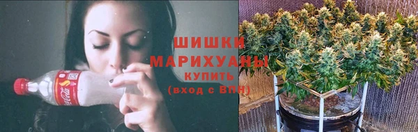 ГАЛЛЮЦИНОГЕННЫЕ ГРИБЫ Заволжье