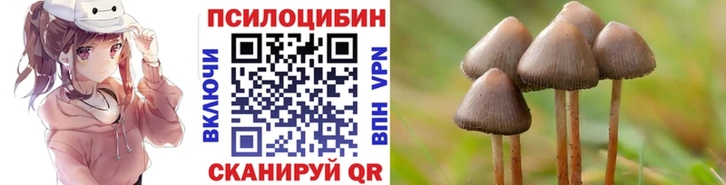 купить   Зубцов  mega зеркало  Псилоцибиновые грибы прущие грибы 